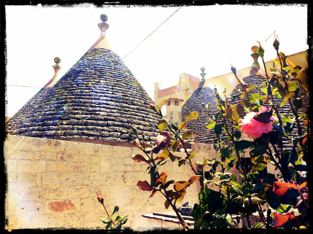 Dimora Matarrese B&B Trulli Alberobello Ngoại thất bức ảnh